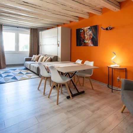 Fitz Roy Annecy Rent Lodge Exteriör bild